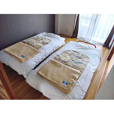 ルミナスⅡの物件写真2