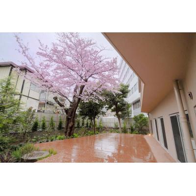 【渋谷・横浜直通】サウナ・テラス付きカフェ併設のおしゃれなデザイナーズマンスリー［goodroom residence 学芸大学］（207）の物件写真6