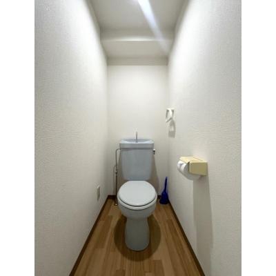 륵ȥƥˬҭʪ̿5