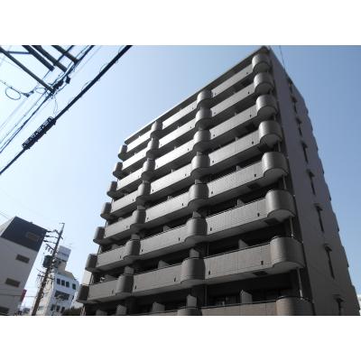 ꡼ɥޥ󥹥꡼ڥ륷⻳503ۡڶ⻳3ʬۤʪ̿1