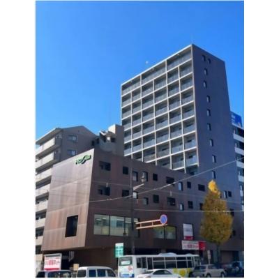 RISE KUMAMOTO EXEʪ̿1