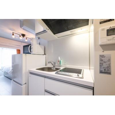 サンシャイン池袋も徒歩圏内/家具・家電完備/ラルーナ東池袋402の物件写真2