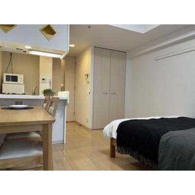 トラスト三宮2【ダブルベッドで快適♪　高層階♪】の物件写真3