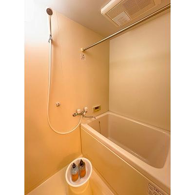 グランマンスリー古河関戸R202【丘里工業団地徒歩圏内♪】【ドラッグストア徒歩１分☆】の物件写真3