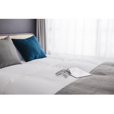 2025年築/十条駅から徒歩10分/都心へのアクセス良好/人気の商店街/エレーナ十条 501の物件写真2