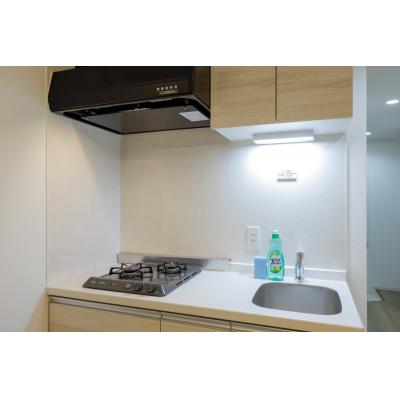 2025年築/十条駅から徒歩10分/都心へのアクセス良好/人気の商店街/エレーナ十条 502の物件写真3