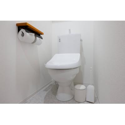 2025年築/十条駅から徒歩10分/都心へのアクセス良好/人気の商店街/エレーナ十条 502の物件写真5