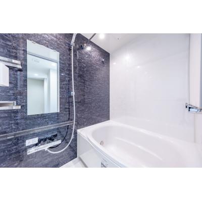 赤坂駅まで徒歩5分/六本木や青山エリアへのアクセス良好/シティテラス赤坂 501の物件写真4