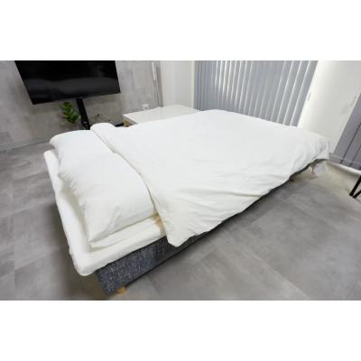 【大阪城公園3分】和室が特徴！出張・長期滞在に丨エクセレンス大阪城公園301(禁煙)(5)の物件写真3