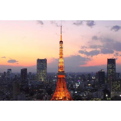 【東麻布】赤羽橋2分◎都会的空間・無料ネット完備丨Fleg Higashi Azabu1 Bedroom（1LDK）(1)の物件写真1