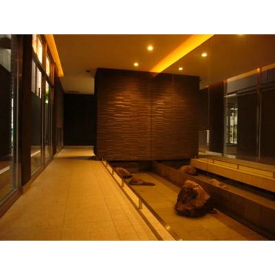 【虎ノ門7分】ビジネス拠点◎Wi-Fi無料丨SLマンスリー新橋虎ノ門1K（禁煙）(1)の物件写真2