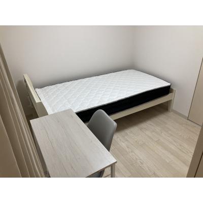 POROKARI北1条通C/オートロック/複数室ありの物件写真3