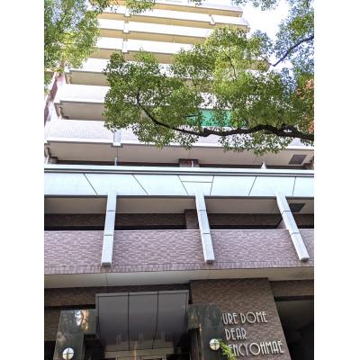 【ピュアドームディア県庁前★地下鉄「千代県庁口」徒歩3分★福岡市民会館　徒歩3分★の物件写真1