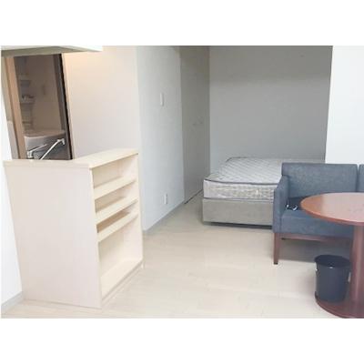 OneLife札幌ハーベスト【★独立洗面台、洗浄機付便座《1DKの広々空間！》】の物件写真3