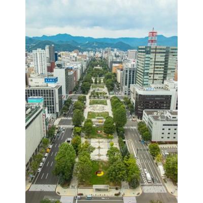 【新規OPEN】COSOJIマンスリー スイーズS4｜ネット無料★大通りすすきの徒歩圏内★バス・トイレ別の物件写真3