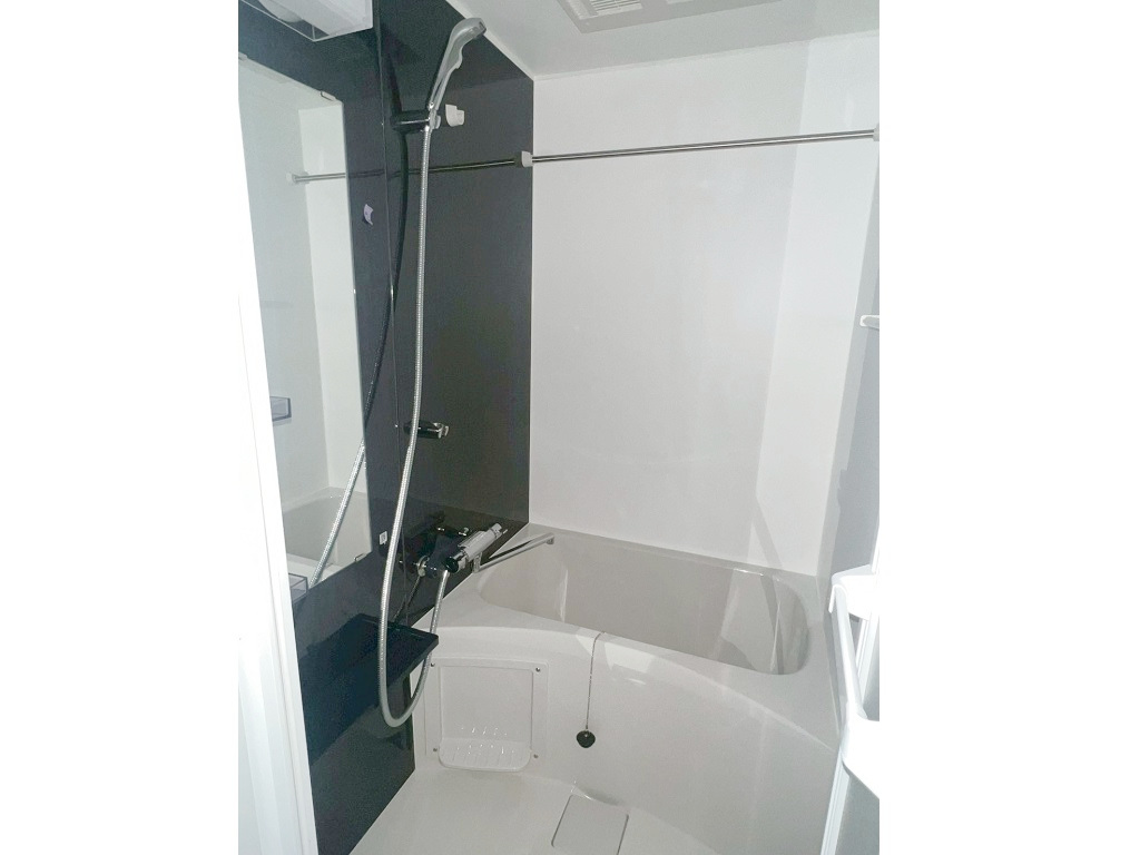 マンスリーリブマックス草加SOUTH■『ペット可・禁煙ルーム・23平米』【Wi-Fi無制限・浴室乾燥付】≪エクセレントシリーズ≫の物件写真6