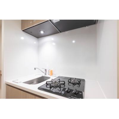 浅草駅から徒歩9分/大きな窓のある明るいお部屋/ディアレイシャス本所吾妻橋II 602の物件写真4