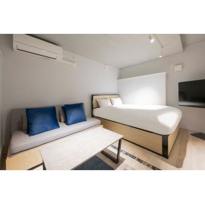 スカイツリー浅草エリア近く/最大5人収容可能/ロフトあり/レピュア曳舟レジデンスII102の物件写真1