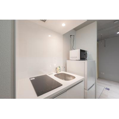 スカイツリー浅草エリア近く/最大5人収容可能/ロフトあり/レピュア曳舟レジデンスII102の物件写真3