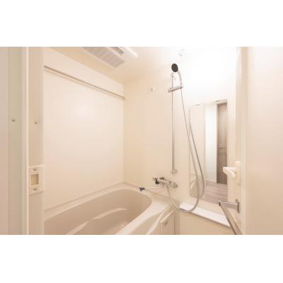 浅草駅から徒歩9分/スカイツリーも電車で1本/家具家電付き/ディアレイシャス本所吾妻橋II 702の物件写真4