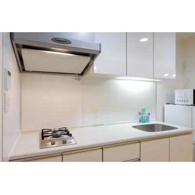 人気の南麻布エリア/東京タワーも電車で一本/最大6名まで利用可能/プラチナコート南麻布 101の物件写真3