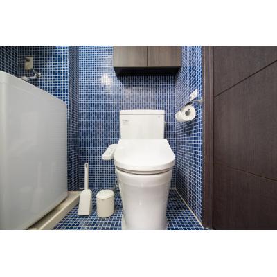 下落合駅徒歩3分！/ロフトあり/オシャレなデザイナーズ物件♪/レリオン下落合 505の物件写真5