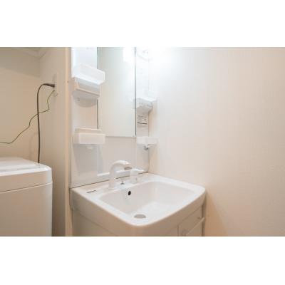 スカイツリーまで電車で5分/最寄り駅から徒歩10分/自然豊か/星空とRiviere 401の物件写真5