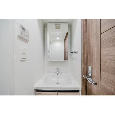 ルネサンスコート高田馬場 305の物件写真5