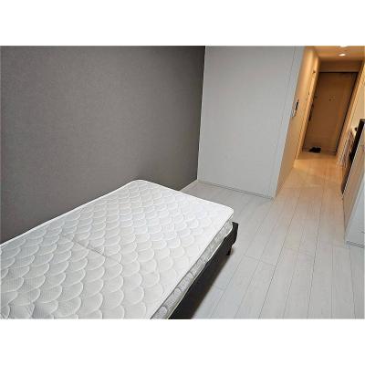 OneLife東向島プロスペクト3rd【★バストイレ別・独立洗面台付】の物件写真3