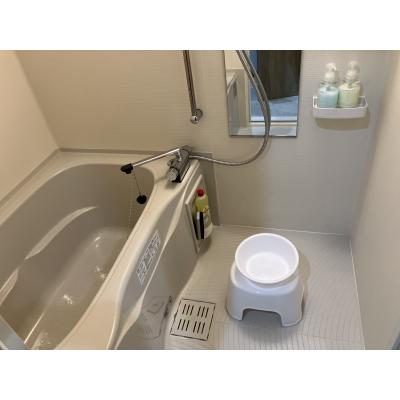 apartment 〒860-0804　熊本県熊本市中央区辛島町4-35 ラ・シック辛島2Ｆ