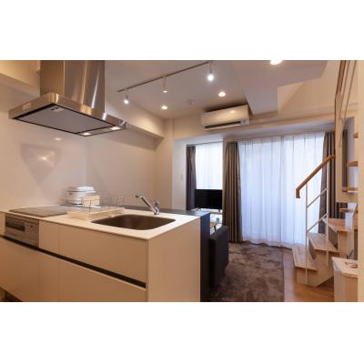 広々1LDK/東日本橋駅徒歩4分/メゾネットタイプのお部屋/NOZY NIHONBASHI 702の物件写真3