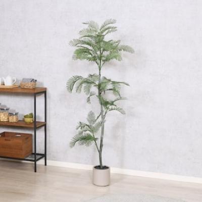 マンスリーステージ成増Ⅱ【インターネット無料！管理費無料！3駅利用可】の物件写真4