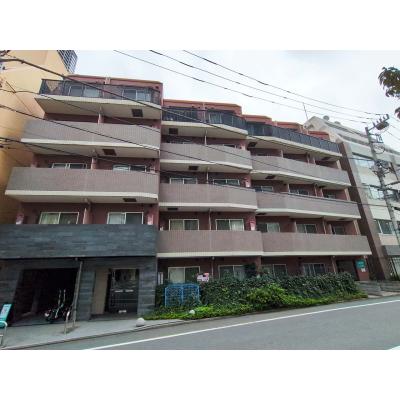 【🎉初期費用オフ｜お得なキャンペーン】【禁煙🚭/Wi-Fi無料🌐】マイナビSTAYミライエ東池袋駅前　403の物件写真2