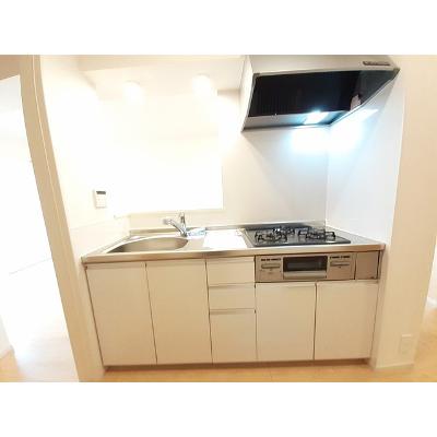 トーレヤ　Ａ 102【管理NO：1-024997801-01020】 ★家具家電は申し込み後に搬入しますの物件写真3