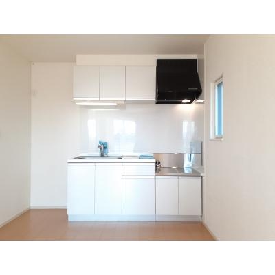 グリーンフロイド 201【管理NO：1-018645701-02010】 ★家具家電は申し込み後に搬入します★の物件写真3
