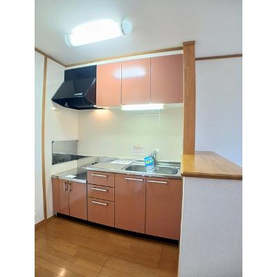 サン・フォレスト 201【管理NO：1-012876601-02010】 ★家具家電は申し込み後に搬入しますの物件写真3