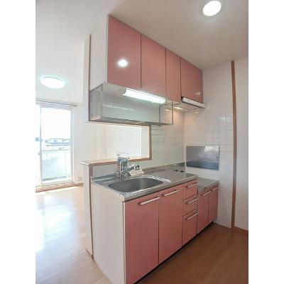 パレ・コリーヌ 203【管理NO：1-012469601-02030】 ★家具家電は申し込み後に搬入しますの物件写真3