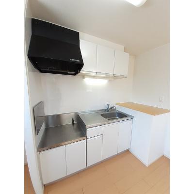 ハイシード平和 206【管理NO：1-017156301-02050】 ★家具家電は申し込み後に搬入しますの物件写真3