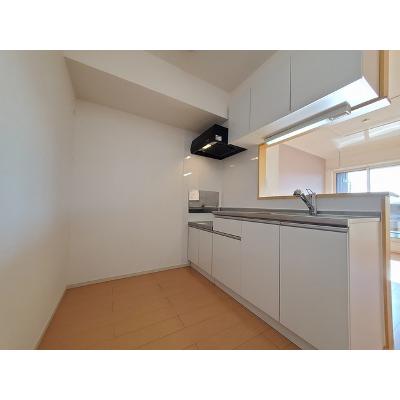 ブルック　白石　Ⅱ 202【管理NO：1-020333002-02020】 ★家具家電は申し込み後に搬入します★の物件写真3