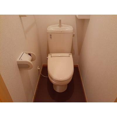 アンディ　Ⅱ 105【管理NO：1-016382901-01040】 ★家具家電は申し込み後に搬入しますの物件写真5