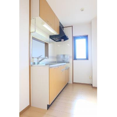 サザン上条 303【管理NO：1-010621701-03030】 ★家具家電は申し込み後に搬入しますの物件写真3