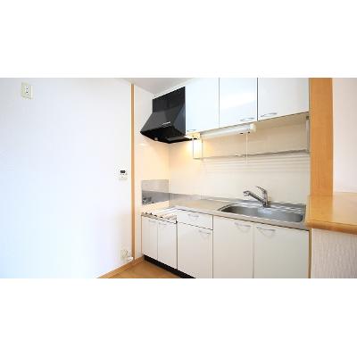 セピアコートＳ　Ｂ 202【管理NO：1-013533802-02020】 ★家具家電は申し込み後に搬入します★の物件写真3