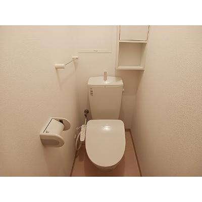 サンフラワー 203【管理NO：1-019110801-02030】 ★家具家電は申し込み後に搬入します★の物件写真5