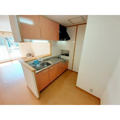 アドバンス・ヴィラ 101【管理NO：1-013173001-01010】 ★家具家電は申し込み後に搬入します★の物件写真3