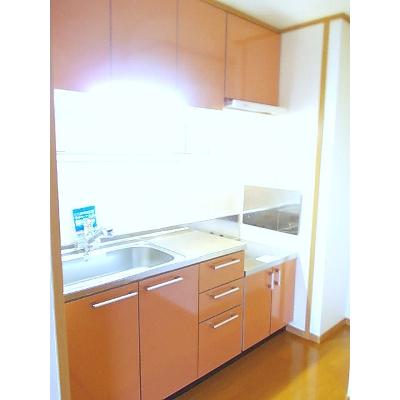 ガーデン・プレイスＡ 103【管理NO：1-013113401-01030】 ★家具家電は申し込み後に搬入します★の物件写真3