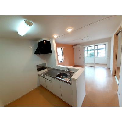 Ｐｅａｃｅ 202【管理NO：1-021153301-02020】 ★家具家電は申し込み後に搬入します★の物件写真3