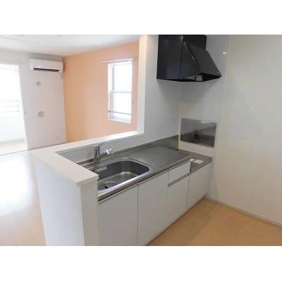 リサージⅡ 201【管理NO：1-019342802-02010】 ★家具家電は申し込み後に搬入します★の物件写真3