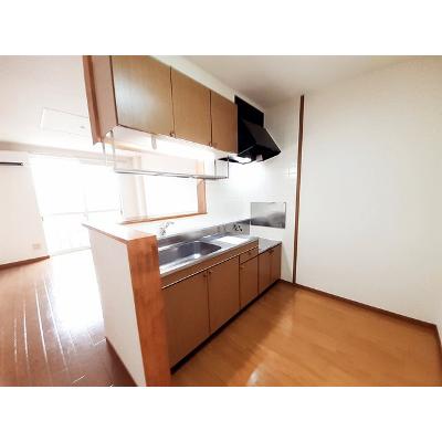 ブロッサムⅠ 202【管理NO：1-009623601-02020】 ★家具家電は申し込み後に搬入します★ ★2026年10月中旬入居可能★の物件写真3