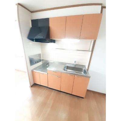 キャピタル広瀬　Ⅲ 203【管理NO：1-010599402-02030】 ★家具家電は申し込み後に搬入します★の物件写真3