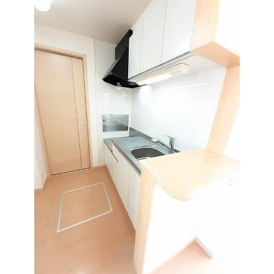 プレシュー　川南 101【管理NO：1-018268601-01010】 ★家具家電は申し込み後に搬入します★の物件写真3